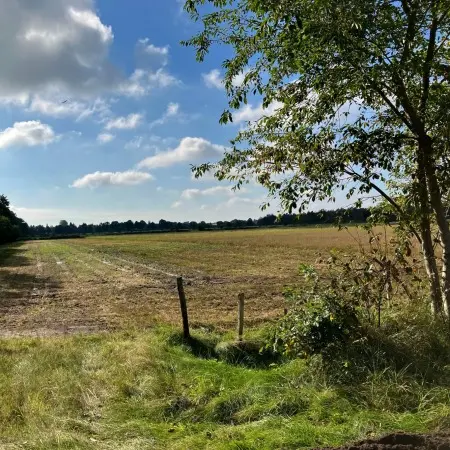 RCprotect® Abwasserdruckrohr Ostfriesland Marcardsmoor - Wiesmoor Moor- und Torflandschaft
