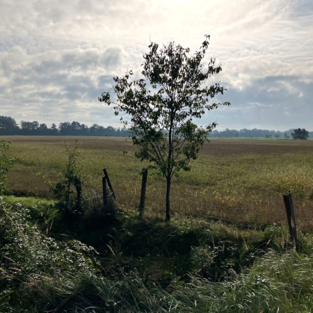RCprotect® Abwasserdruckrohr Ostfriesland Marcardsmoor - Wiesmoor Naturschutz