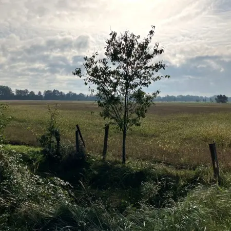 RCprotect® Abwasserdruckrohr Ostfriesland Marcardsmoor - Wiesmoor Naturschutz